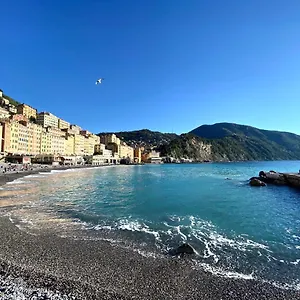 Casaviva - Sweet Bilo On The Sea In Camogli